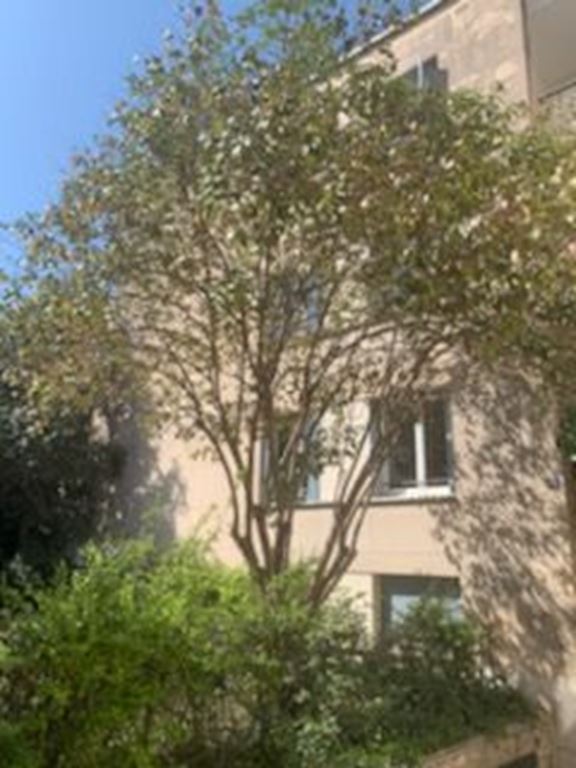 Appartement MONTPELLIER (34000) Serenidade